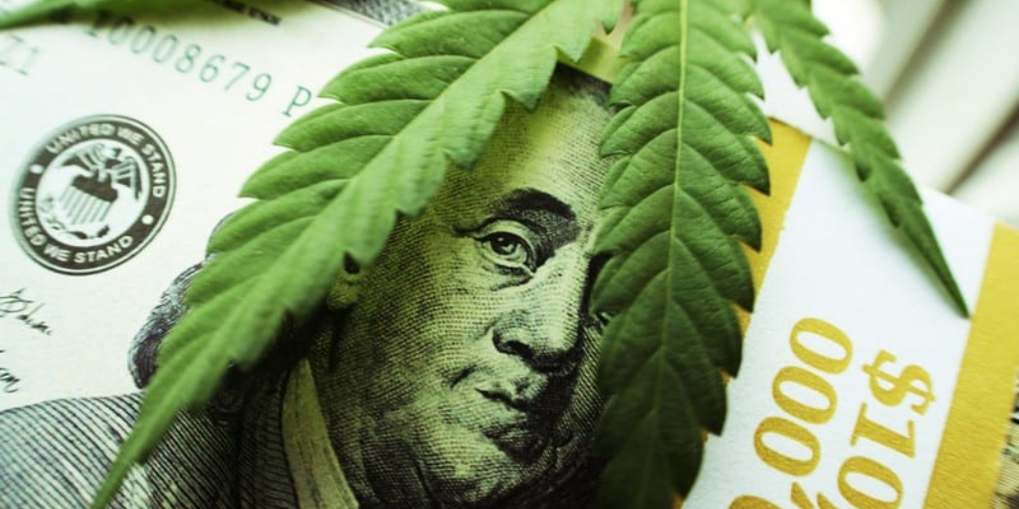 cannabis loan lender